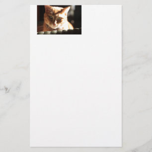 Kute Kat! Briefpapier