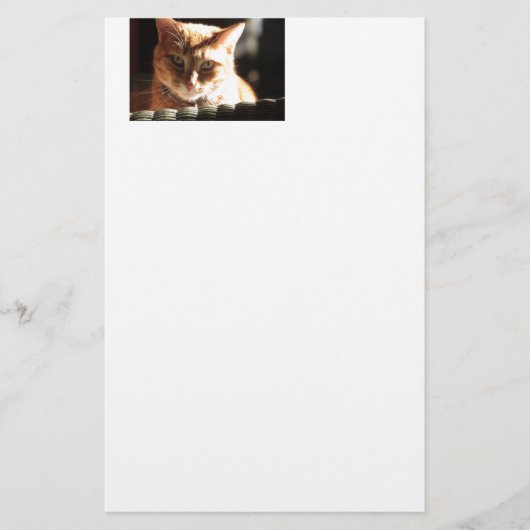 Kute Kat! Briefpapier (Voorkant)