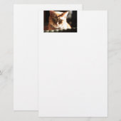 Kute Kat! Briefpapier (Voorkant / Achterkant)