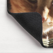 Kute Kat! Muismat (Hoek)
