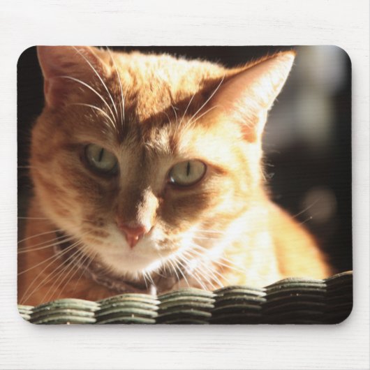 Kute Kat! Muismat (Voorkant)