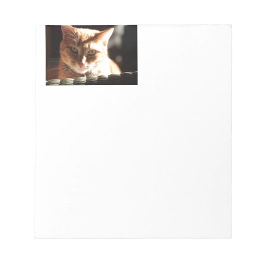 Kute Kat! Notitieblok (Voorkant)