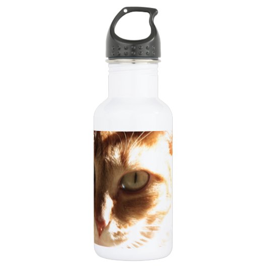 Kute Kat! Waterfles (Voorkant)