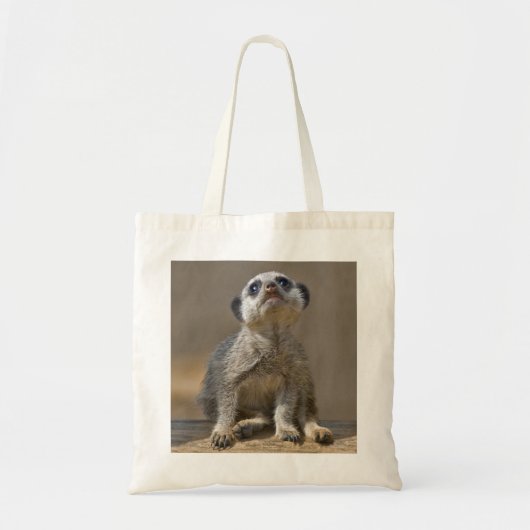Kute Kat Zak Tote Bag (Voorkant)