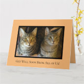 Kute katten Cheerful Pets Parrot worden snel goed Kaart (Gele Bloem)