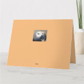 Kute katten Cheerful Pets Parrot worden snel goed Kaart (Achterkant)