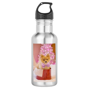 Kute kersthond met roze Bow-foto Waterfles
