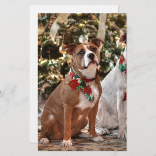 Kute kerstredding Pitbull and America Bull Dog Briefpapier (Voorkant / Achterkant)
