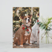 Kute kerstredding Pitbull and America Bull Dog Briefpapier (Staand voorkant)