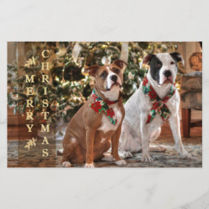 Kute kerstredding Pitbull and America Bull Dog Briefpapier