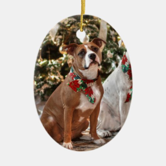 Kute kerstredding Pitbull and America Bull Dog Keramisch Ornament (Voorkant)