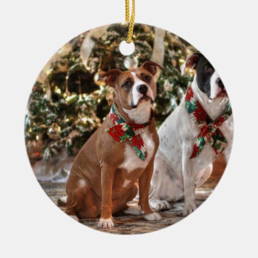 Kute kerstredding Pitbull and America Bull Dog Keramisch Ornament (Voorkant)