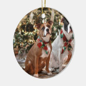 Kute kerstredding Pitbull and America Bull Dog Keramisch Ornament (Links)