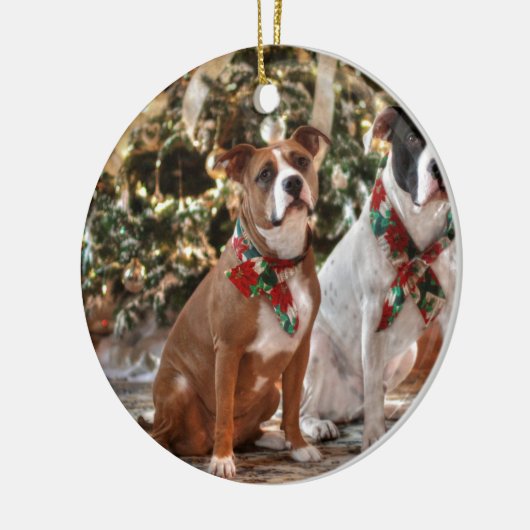 Kute kerstredding Pitbull and America Bull Dog Keramisch Ornament (Links)