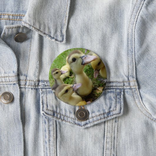 Kute Kinder deklings Baby eenden Ronde Button 7,6 Cm (In situ)