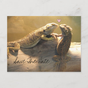Kute Kissende Lizards Weddenschap Save the Date Aankondigingskaart