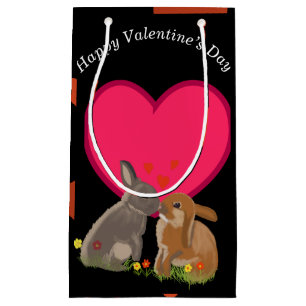 Kute Kissingende Bunnies Valentijns Klein Cadeauzakje