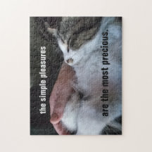 Kute Kitten citeert Eenvoudige Pleziertjes