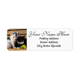 Kute Kittens en Flowers Return Address Etiket