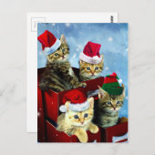 Kute kittens met x-mas petten briefkaart (Voorkant / Achterkant)