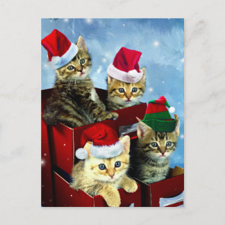 Kute kittens met x-mas petten briefkaart