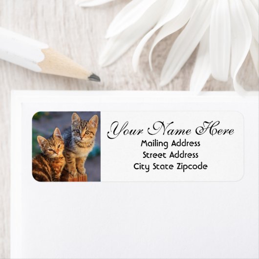 Kute Kittens Return-adres Etiket (Insitu)