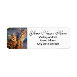 Kute Kittens Return-adres Etiket