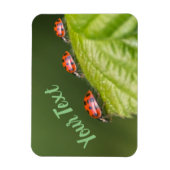 Kute kleine ladybug geeft succes en fortuin! magneet (Verticaal)