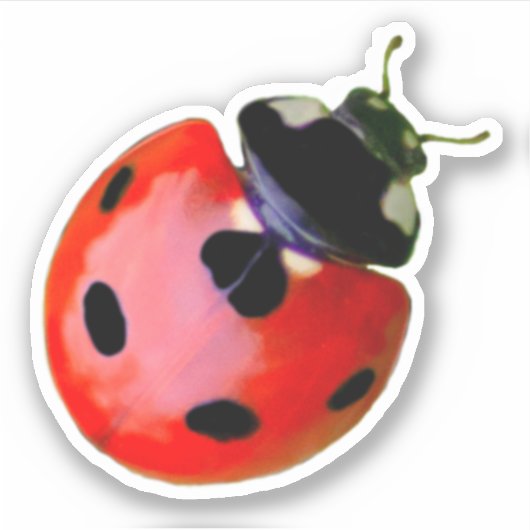 Kute kleine ladybug geeft succes en fortuin! sticker (Voorkant)