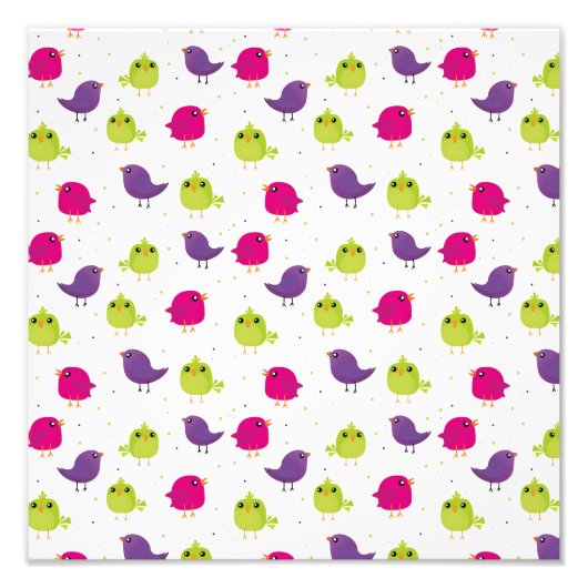 Kute kleurige vogels foto afdruk (Voorkant)