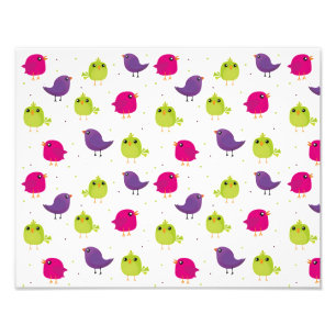 Kute kleurige vogels foto afdruk