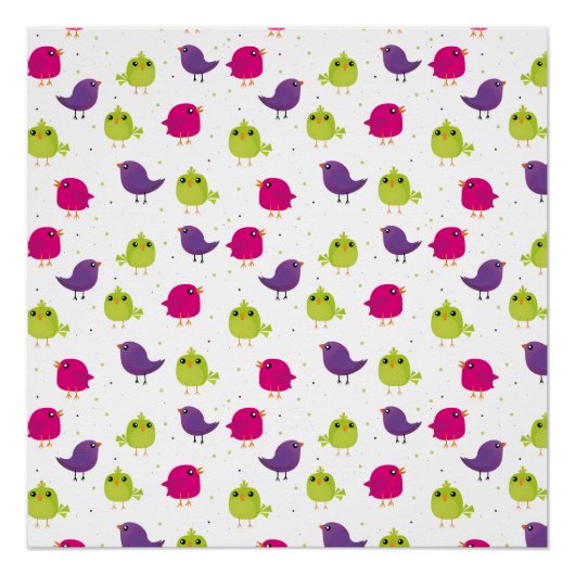 Kute kleurige vogels perfect poster (Voorkant)
