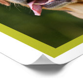 Kute-koffieverslaafde Labrador aangepast Poster (Hoek)