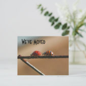 Kute Ladybugs Briefkaart Natuur van nieuw adres (Staand voorkant)