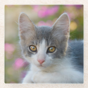 Kute Little Bicolor Kitten Fluffy Photo Cat Lovers Glazen Onderzetter
