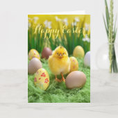 Kute Little Chick and Eggs Easter Holiday Kaart (Voorkant)