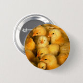 Kute Little Chicken Ronde Button 5,7 Cm (Voorkant /achterkant)