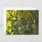 Kute Little Eating Bird DIY Briefkaart (Voorkant / Achterkant)