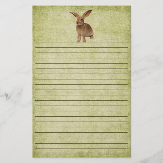 Kute Little Floppy Bunny- Stationery Briefpapier (Voorkant)