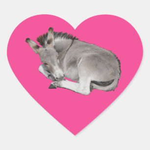 Kute Little Grey Donkey Baby Foal Laing Down Hart Sticker