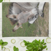 Kute Little Grey Donkey Baby Foal Laing Down Theedoek (Gevouwen)