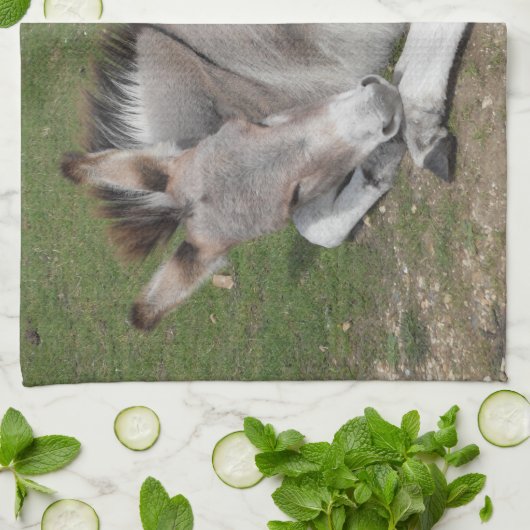 Kute Little Grey Donkey Baby Foal Laing Down Theedoek (Gevouwen)