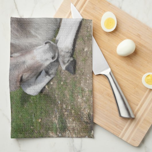 Kute Little Grey Donkey Baby Foal Laing Down Theedoek (Quarter Fold)