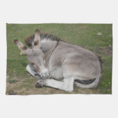 Kute Little Grey Donkey Baby Foal Laing Down Theedoek (Horizontaal)