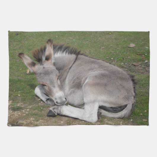 Kute Little Grey Donkey Baby Foal Laing Down Theedoek (Horizontaal)