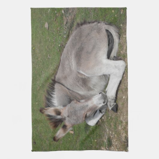 Kute Little Grey Donkey Baby Foal Laing Down Theedoek (Verticaal)
