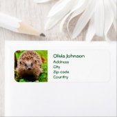 Kute Little Hedgel in Forest Etiket (Insitu)