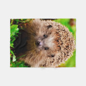 Kute Little Hedgel in Forest Fleece Deken (Voorkant (Horizontaal))