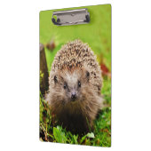 Kute Little Hedgel in Forest Klembord (Links)