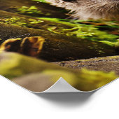 Kute Little Hedgel in Forest Poster (Hoek)